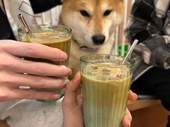 -是阿柴呀！柴犬咖啡·爱喵喵猫咖