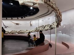 -自贡恐龙博物馆