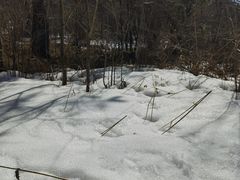 -秦岭风景区