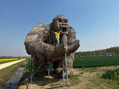 -兰陵国家农业公园