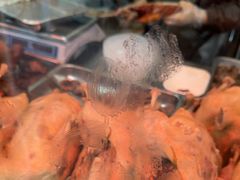 -杨震卤菜旗舰店