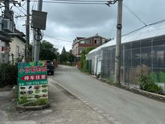 -马陆小张葡萄园农家乐