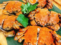 熟醉蟹-打酱油·非遗淮扬菜(瘦西湖梅岭老店)