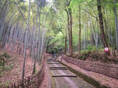 -宝石山