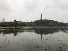 -顺峰山公园