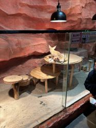 -Zoolung Zoolung动物主题公园(海信广场店)