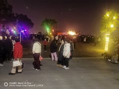-武汉园博园(武汉自然博物馆)