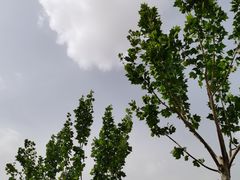 -高台民居