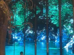 -桂满陇·海市蜃楼·黑金(国金店)