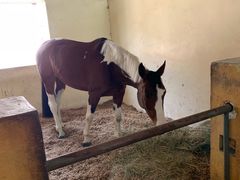 -松声马术俱乐部