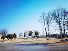 -盘龙城遗址博物院