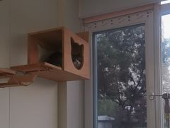 -美联众合动物医院·24h京西诊疗中心