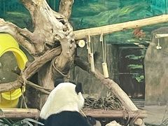 -灵玲国际马戏城