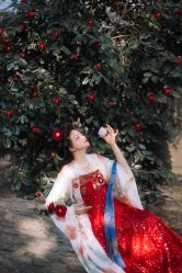 -虞美人古装摄影(汉服体验)