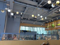 -翡翠拉面小笼包Crystal Jade(上海浦东国际机场T1店)