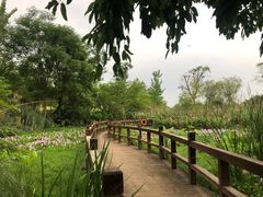 -白鹭湾湿地公园