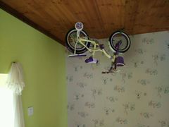 android_upload_pic-金山农民画村-枫泾波兰倒置屋
