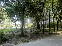 -廊坊市自然公园