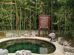 -中家鑫园温泉酒店鑫悦汤泉