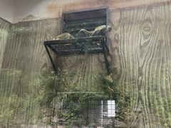 -黔灵山公园