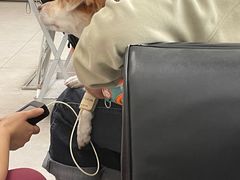 -爱诺耐芙动物医院(万博店)