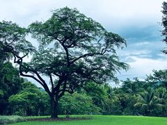 -中国科学院西双版纳热带植物园