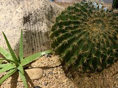 -小城粥道·海胆鲜虾粥(解放广场店)