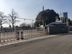 -大宁公园