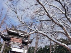 -荆川公园
