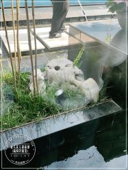 -爱儿美儿童摄影(朝阳公园店)
