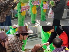 -中国西峡恐龙遗迹园
