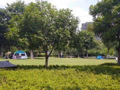 -映月湖中央公园