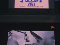 -枫花园汽车电影院(朝阳公园店)