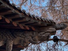 -张掖大佛寺景区