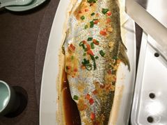 清蒸太湖白鱼-羲和雅苑•北京烤鸭(乐园道万象城店)