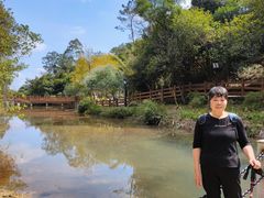 -广州白江湖森林公园