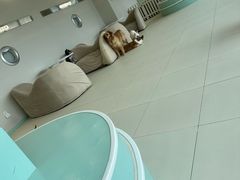 -怪兽屋·羊驼·猫咖·狗咖(俊华广场店)