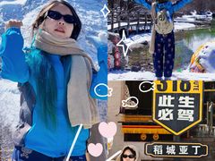 -稻城亚丁景区-冲古草甸