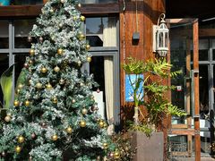 -一棵树·意大利西餐厅One Tree(新城店)