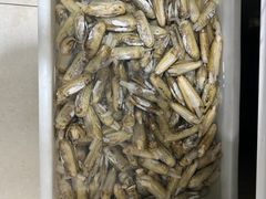 -宾朋海鲜饭庄(兴海路店)