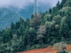 -祁门牯牛降观音堂风景区