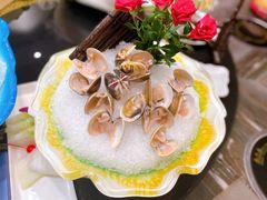 大文蛤-虾佬圣汤