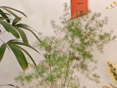 -团子君寿司·茶