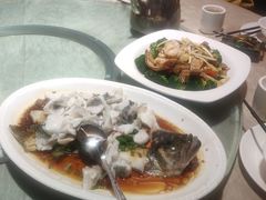 清蒸桂鱼-张记旺角食街(动物园店)