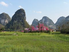 -靖西鹅泉风景区