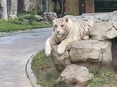 -北京野生动物园