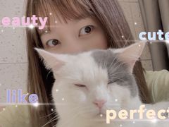 -喵园·猫主题咖啡厅·撸猫·猫咖(国贸店)