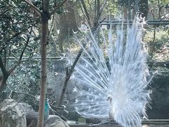 -杭州动物园