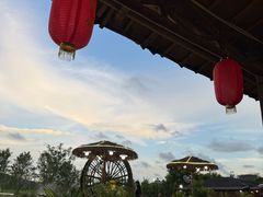 -一煲鸽