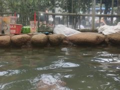 -三江森林温泉度假区